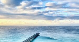 NAVARRE FISHING REPORT MONDAY 5-12-25