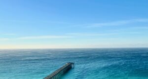 NAVARRE FISHING REPORT TUESDAY 4-29-25