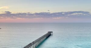 NAVARRE FISHING REPORT SATURDAY 3-1-25