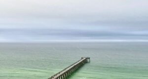 NAVARRE FISHING REPORT SUNDAY 3-9-25