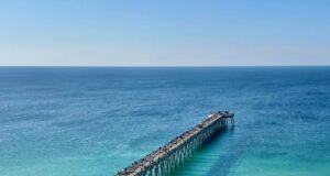 NAVARRE FISHING REPORT FRIDAY 4-18-25