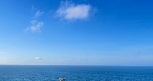 NAVARRE FISHING REPORT FRIDAY 5-16-25