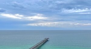 NAVARRE FISHING REPORT WEDNESDAY 6-11-25