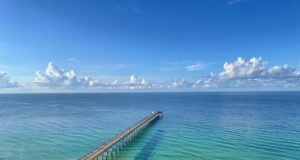 NAVARRE FISHING REPORT FRIDAY 7-11-25