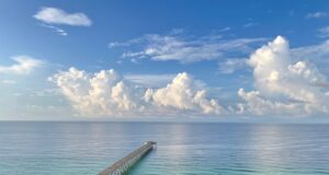 NAVARRE FISHING REPORT SUNDAY 11-9-25