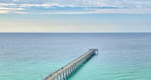 NAVARRE FISHING REPORT FRIDAY 11-7-25
