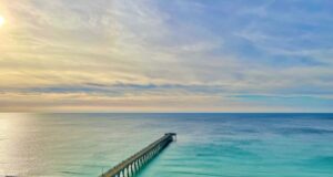 NAVARRE FISHING REPORT SUNDAY 1-11-26