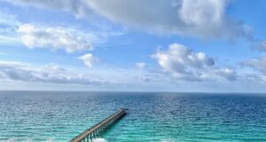 NAVARRE FISHING REPORT FRIDAY 5-29-26