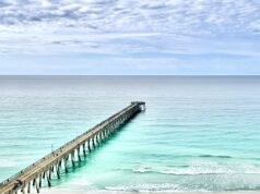 NAVARRE FISHING BREPORT SATURDAY 6-6-26