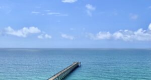 NAVARRE FISHING REPORT THURSDAY 6-4-26
