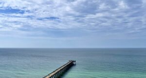 NAVARRE FISHING REPORT SUNDAY 7-26-26