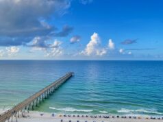 NAVARRE FISHING REPORT WEDNESDAY 8-12-26