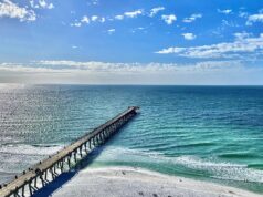 NAVARRE FISHING REPORT FRIDAY 10-30-26
