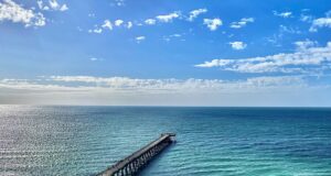 NAVARRE FISHING REPORT FRIDAY 10-30-26